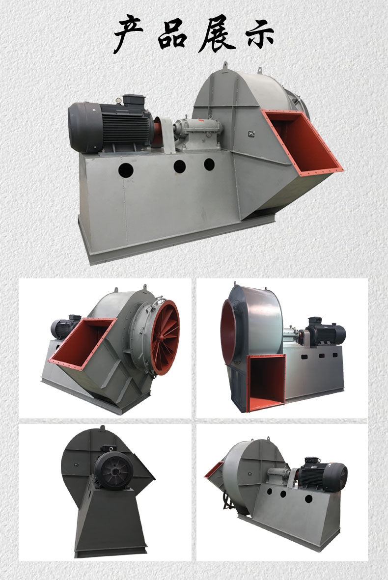 5f17a369a864d.jpg 4-73.jpg